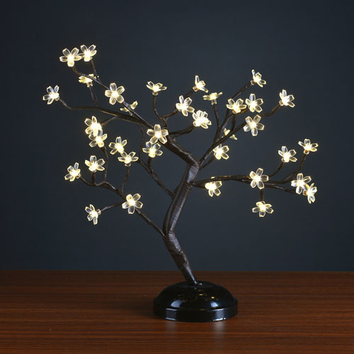 Bonsai cherry tree lighting